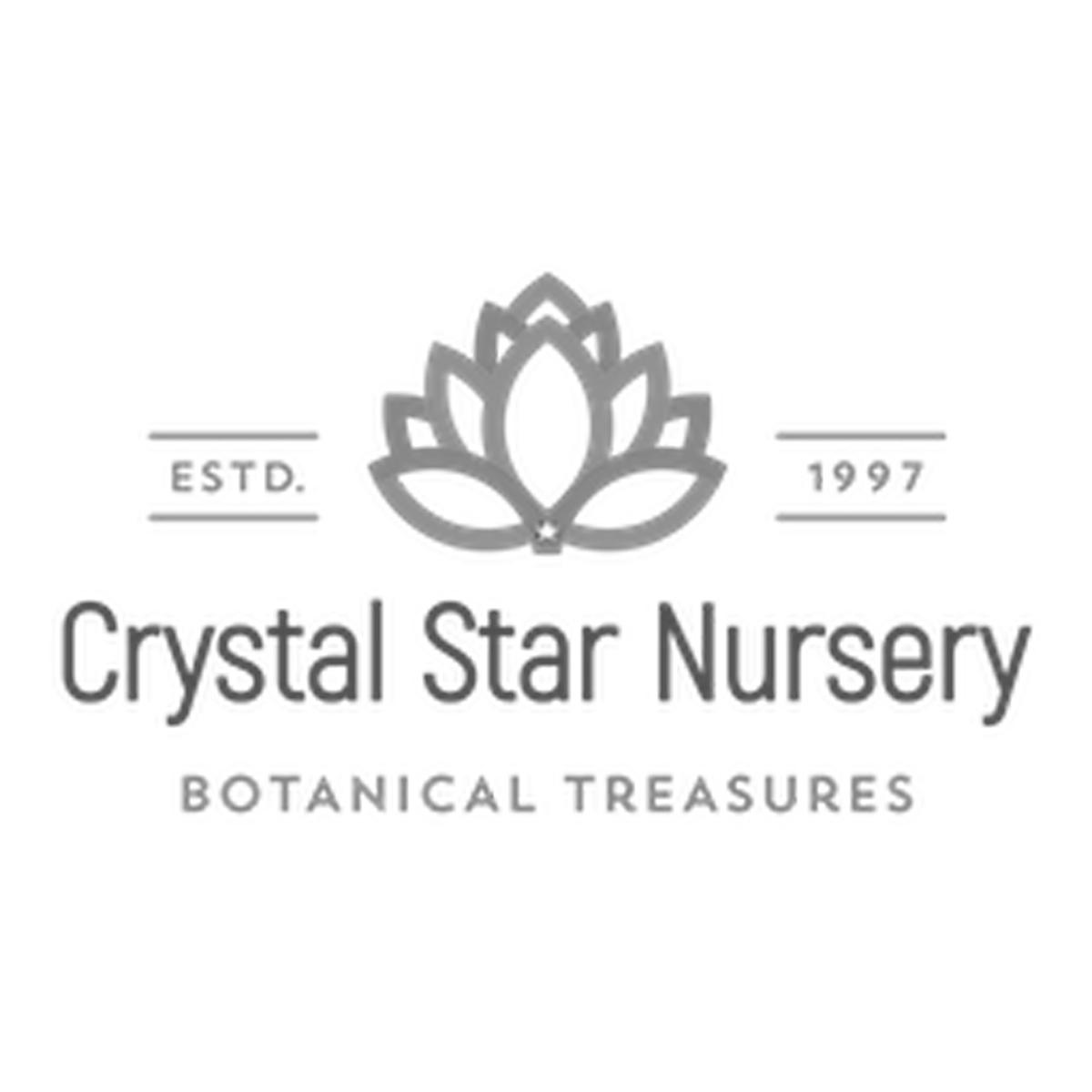 CSN Logo Main 2020 320p